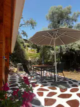 Wooden House 8